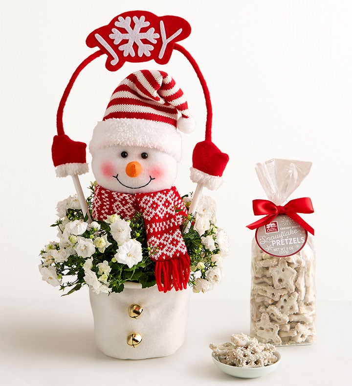 Frosty the Snow Plant