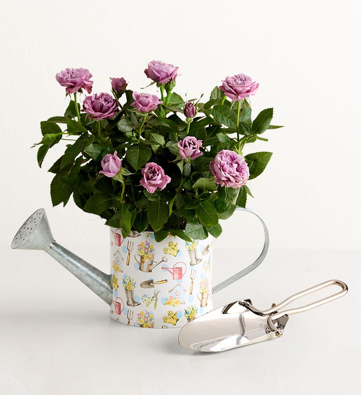 Spring Watering Can