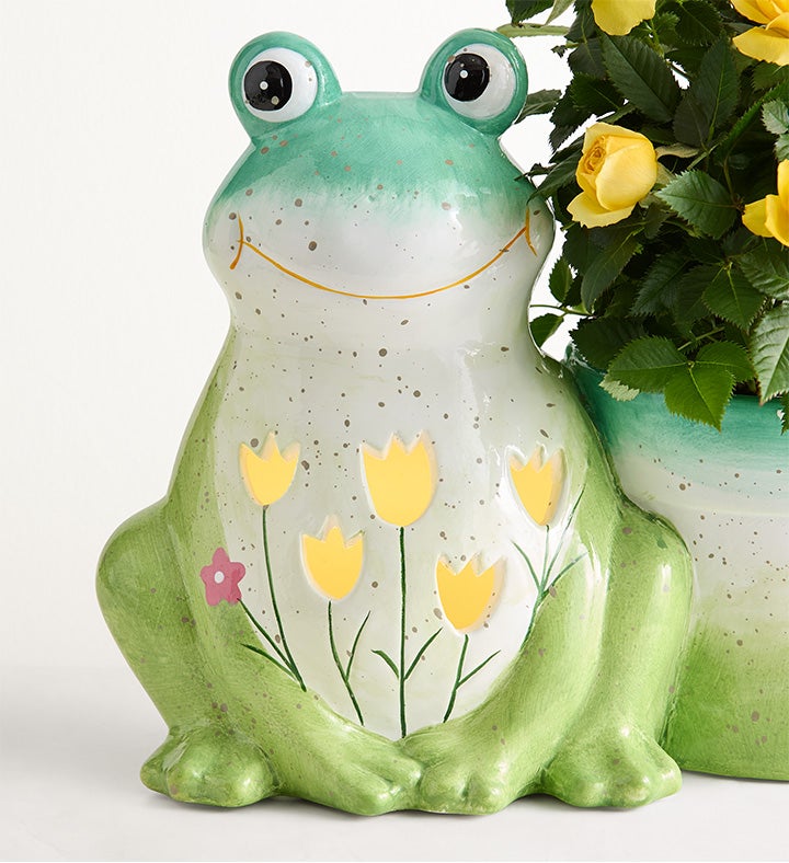 Froggy Spring Garden Plant | 1800Flowers