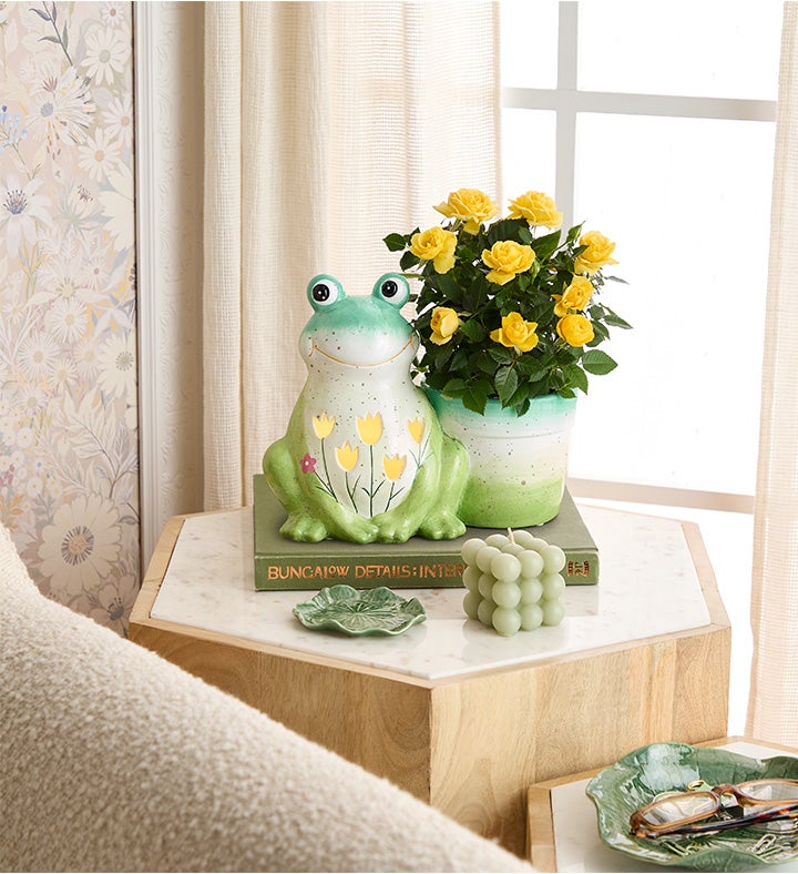 Froggy Spring Garden Plant | 1800Flowers