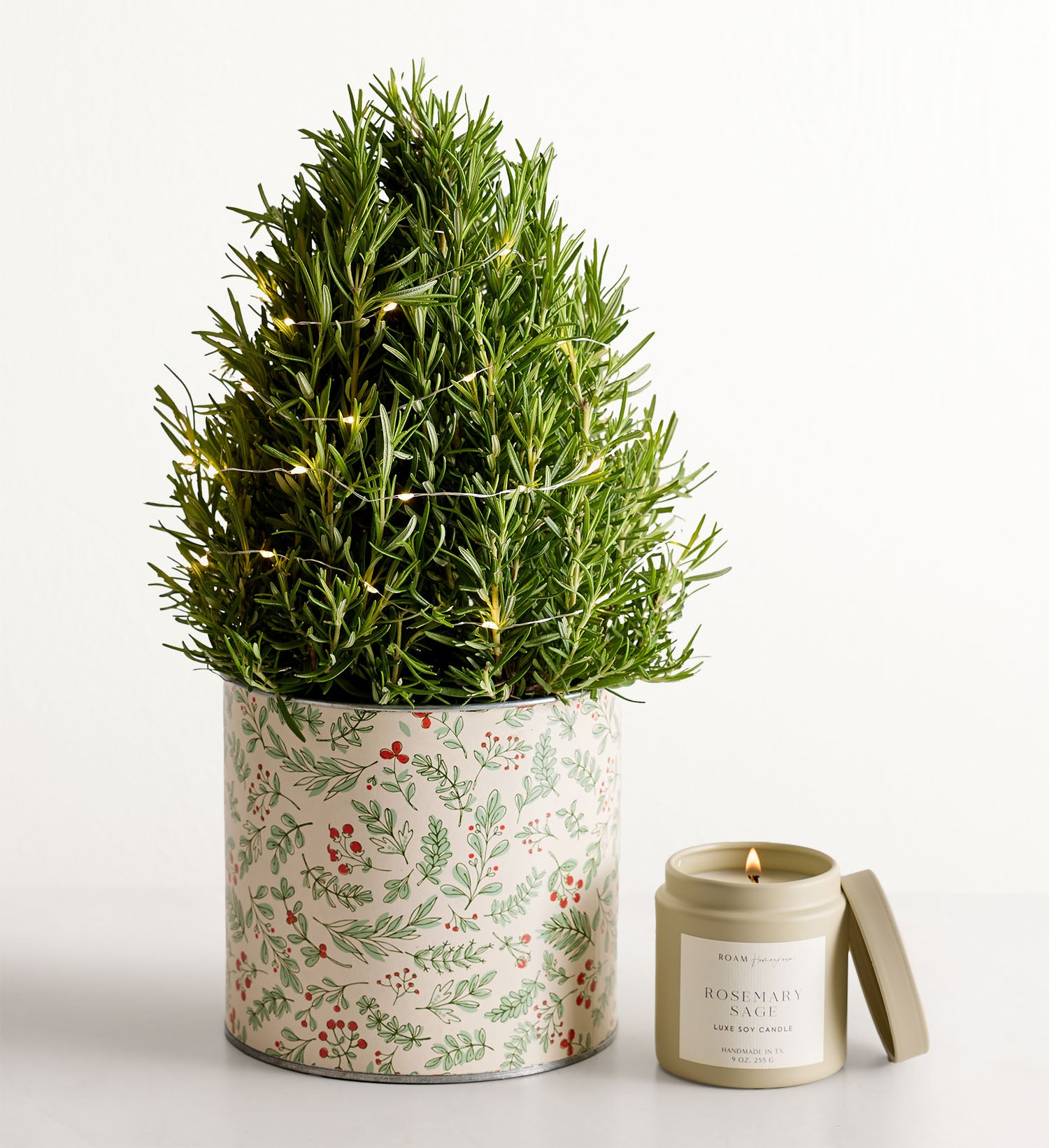 Rosemary and Bright Tree