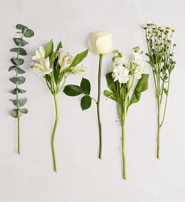 Beautiful Blooms Sympathy Bouquet | 1800Flowers