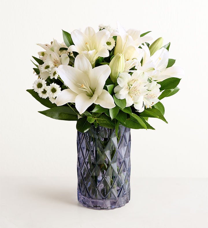lavender chiffon rose of sharon tree Rose Of Sharon, Dark Lavender Chiffon