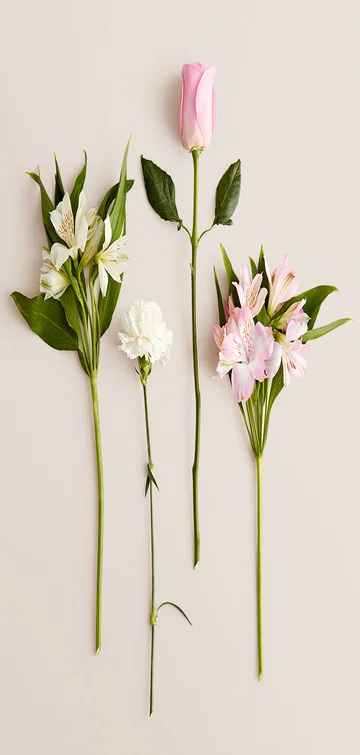 Cherished Blooms Bouquet