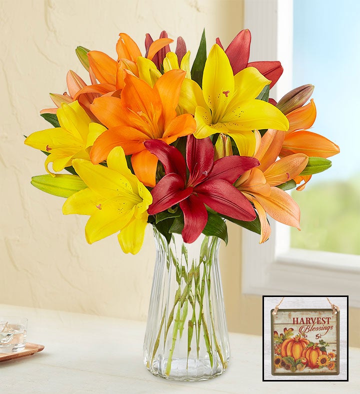Harvest Spice™ Lilies