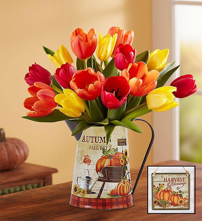Country Harvest™ Tulips