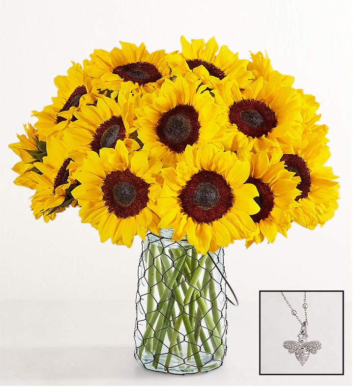 Countryside Sunflowers