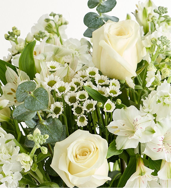 Beautiful Blooms Sympathy Bouquet | 1800Flowers.com