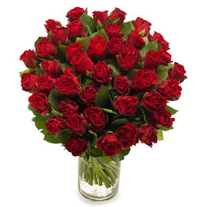 Dark red roses