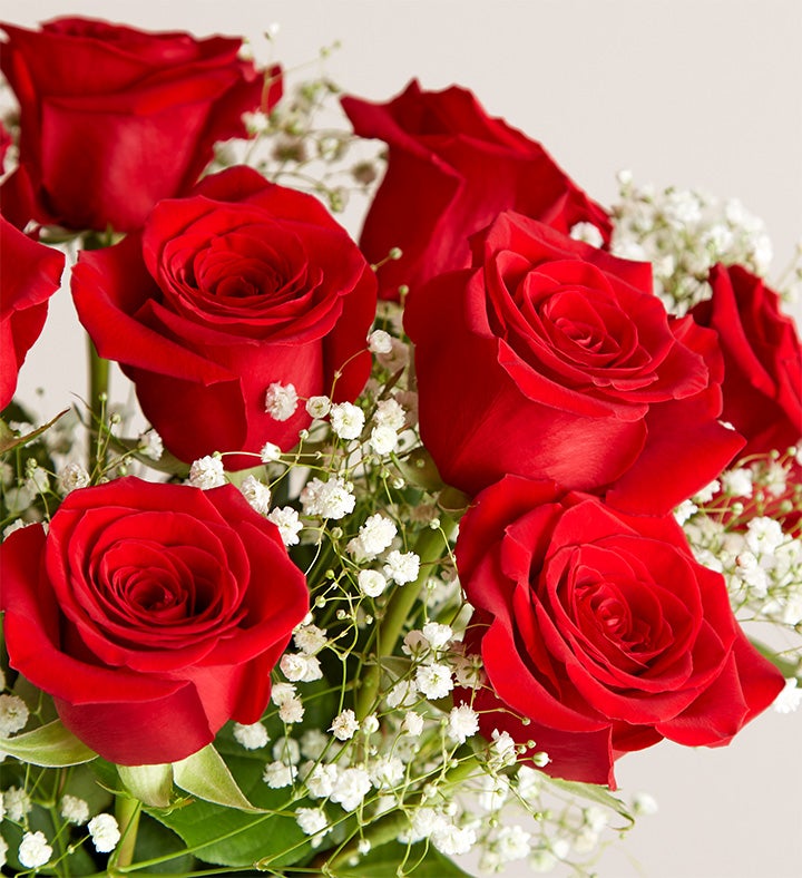 Blooming Love™ Premium Red Roses