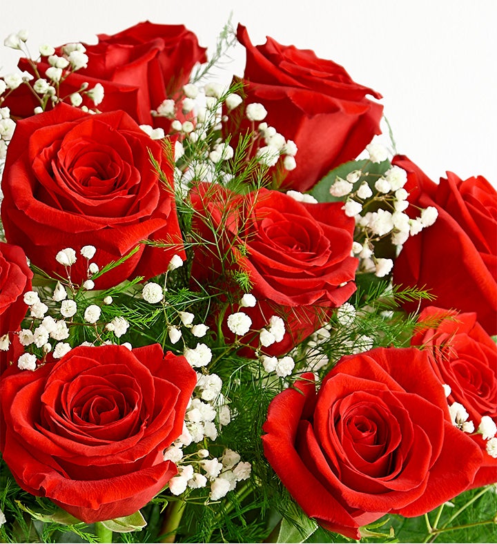 happy roseです。 Rosa 'Happy Days' | BBC Gardeners World Magazine