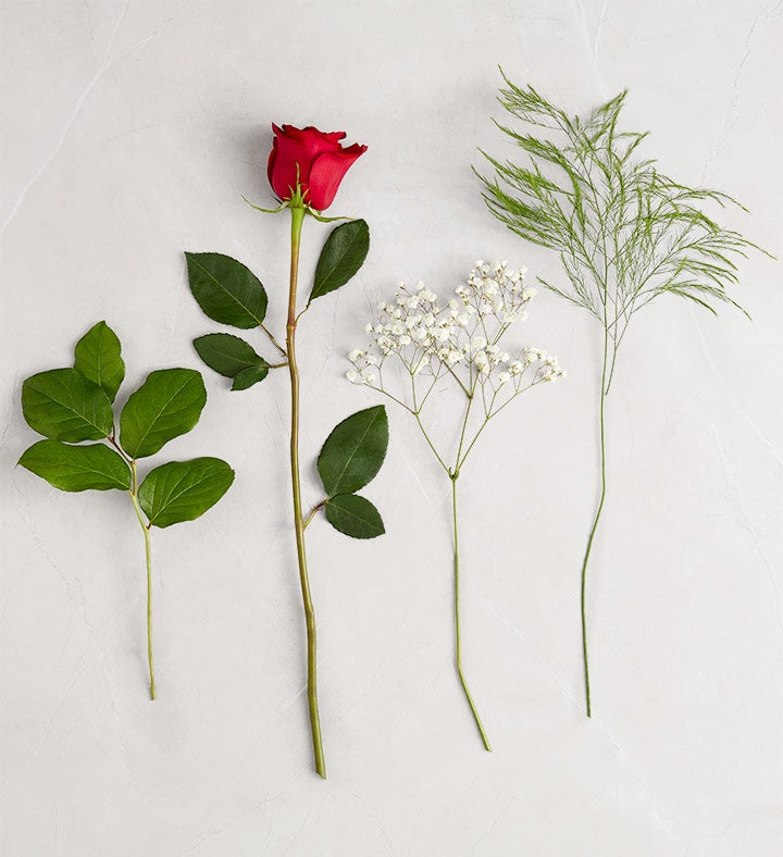 Ultimate Elegance™ Red Roses | Long Stem Rose Flowers | 1800Flowers