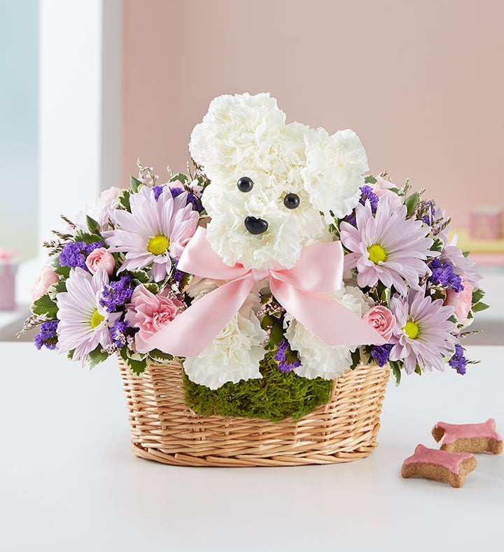 New Baby Flowers Gifts New Mom Gifts 1800flowers Com