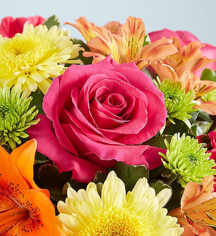 Vibrant Beauty™ Bouquet | 1800flowers.com