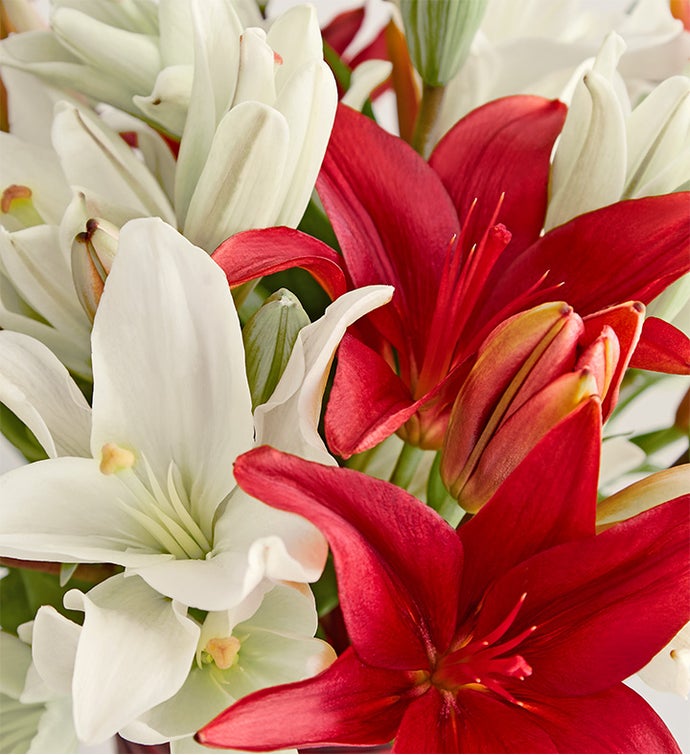 Holiday Lily Bouquet