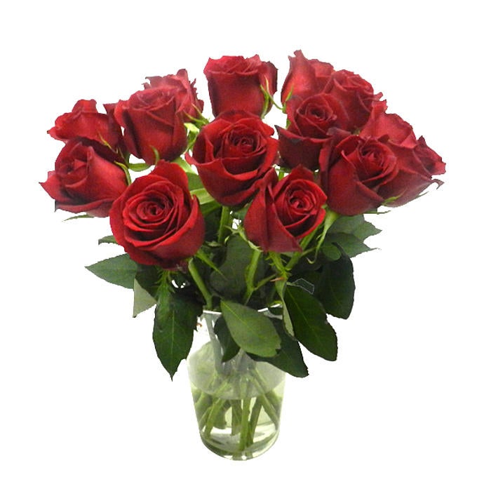 14 Red brazilian Roses  vase not included