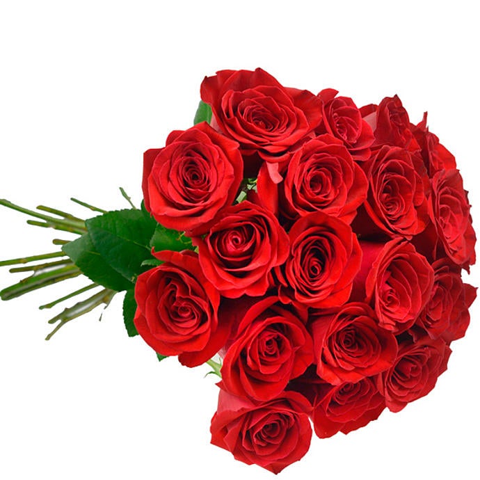20 Colombian Red Roses