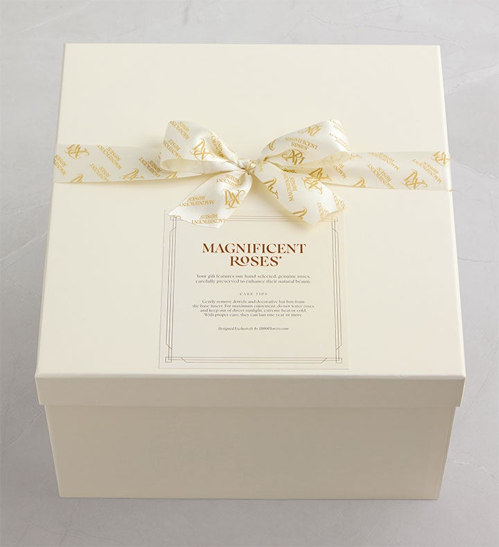 Magnificent Roses® Preserved Kaleidoscope Roses | 1800Flowers.com