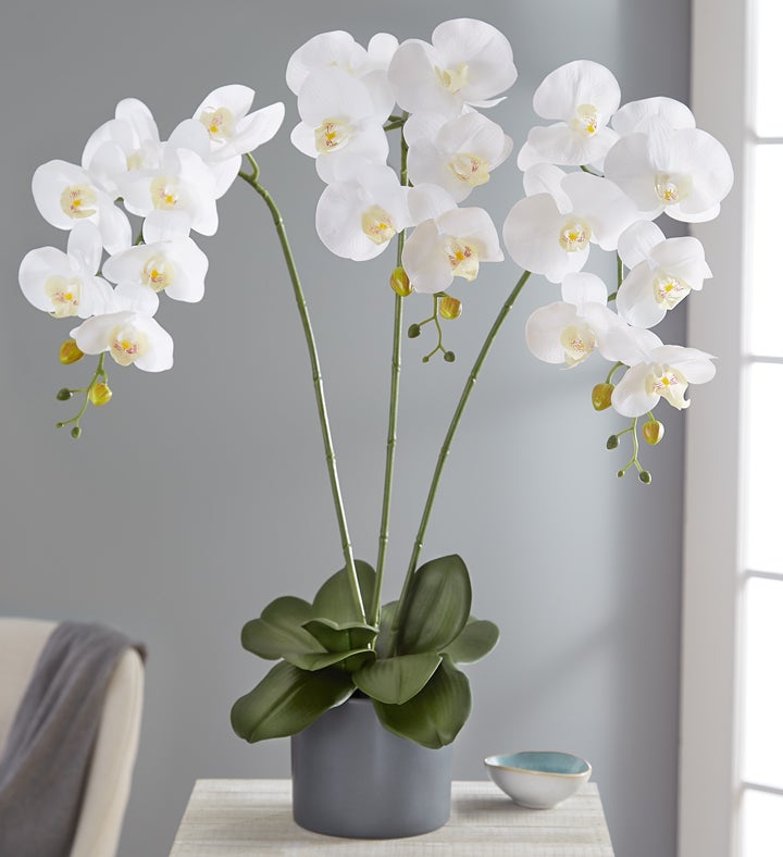 Faux White Orchid | 1800flowers.com