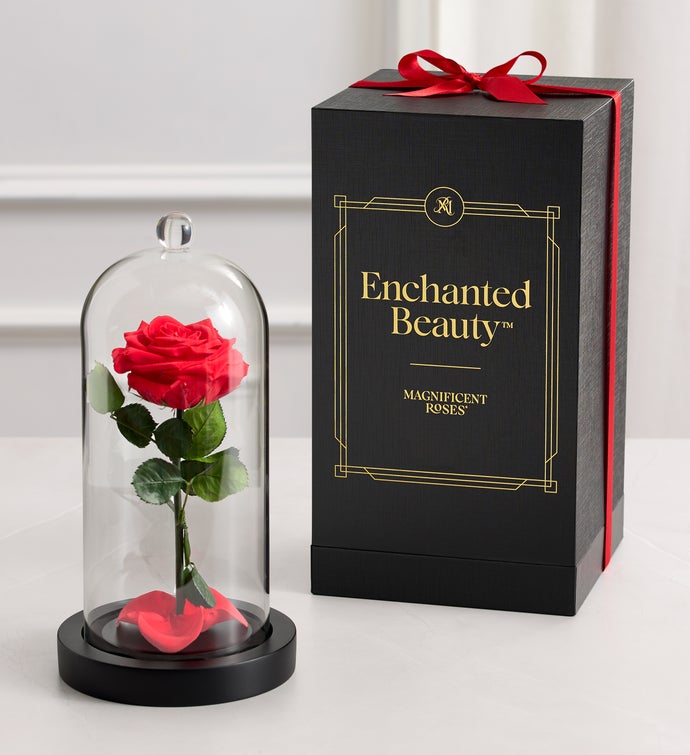 Enchanted Beauty™ by Magnificent Roses® Red