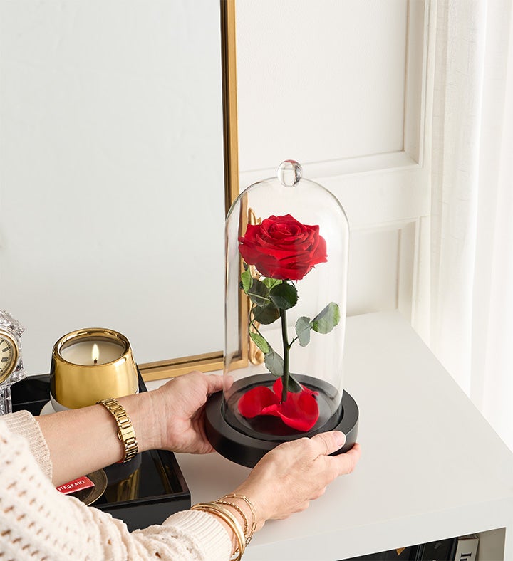 Enchanted Beauty™ by Magnificent Roses® Red | 1800Flowers.com