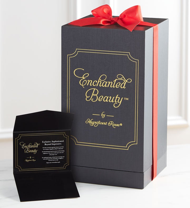 Enchanted Beauty™ by Magnificent Roses® Red