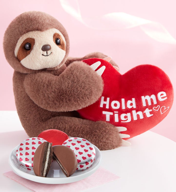 Hold Me Tight Sloth with Cookies