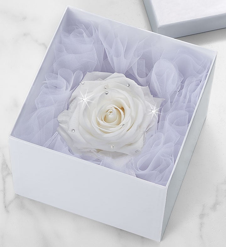 Magnificent Roses® Preserved Sparkle White Rose