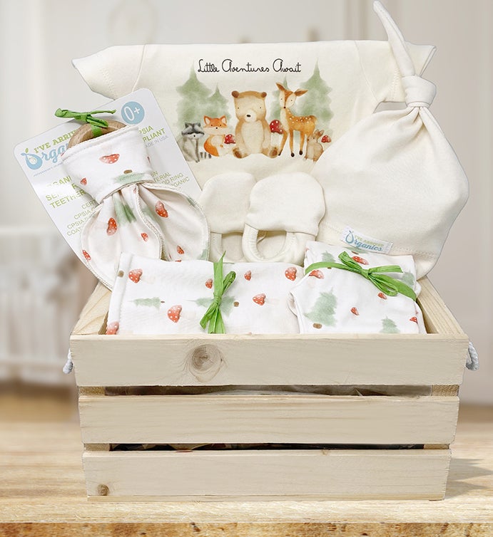 High End Baby Gift Basket, Quality Baby Shower Present