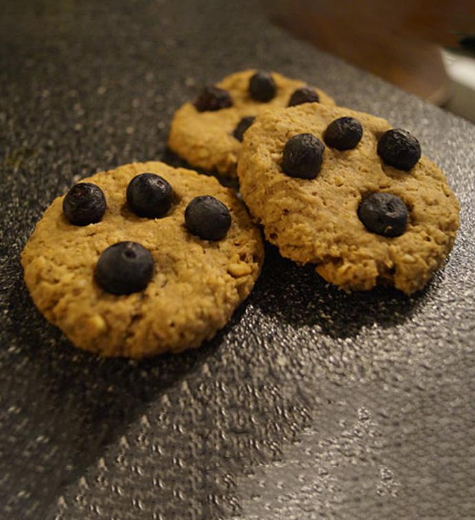 Doggie Treats Full of Fruit