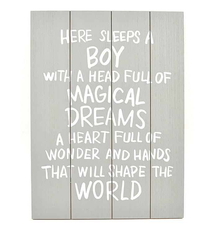 A Boys Magical Dreams