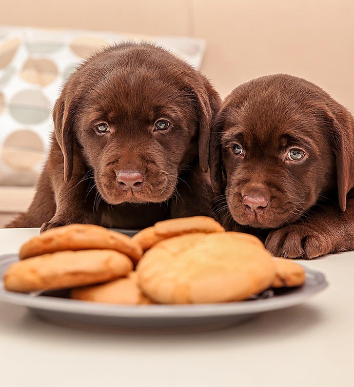 Peanut Butter Lovers Treat Set