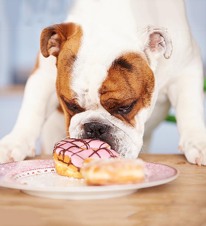 Freshly Baked Doggie Treats