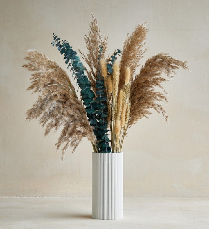 Eucalyptus Pampas Set