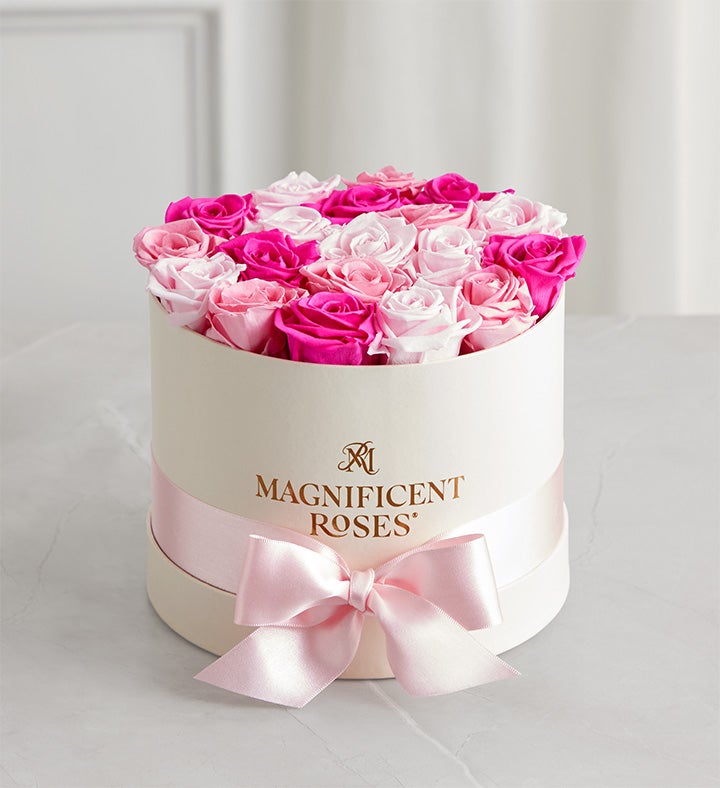 Magnificent Roses® Preserved Delightful Medley