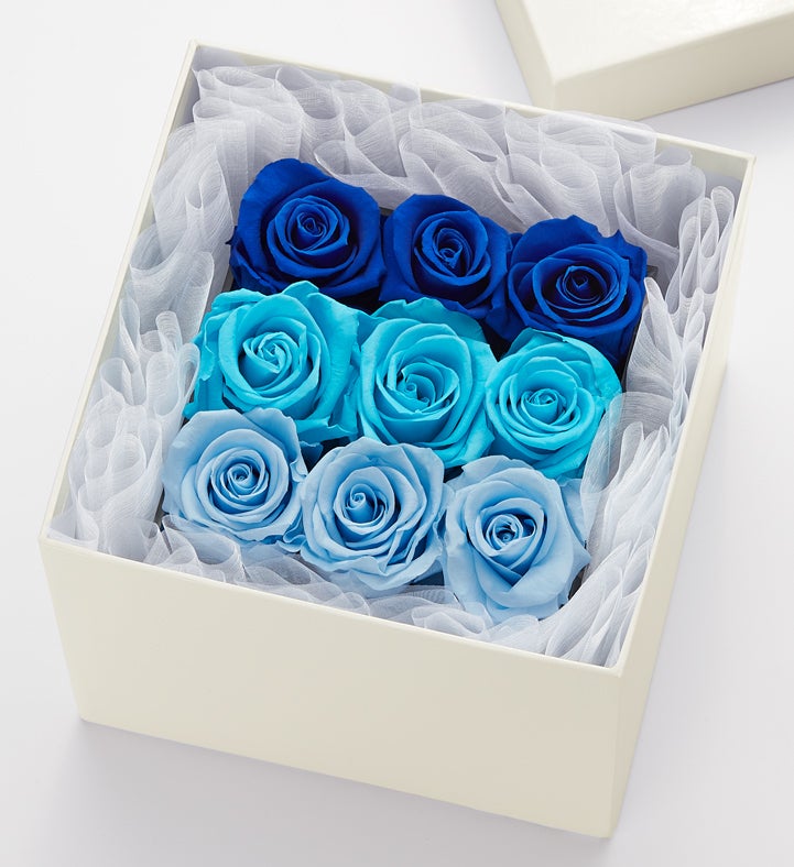 Magnificent Roses® Preserved Seaside Reflection | 1800Flowers.com