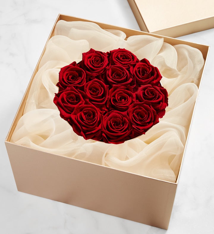 Magnificent Roses® Preserved Cabernet Roses