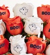 Boo Blooms Conversation™ Roses