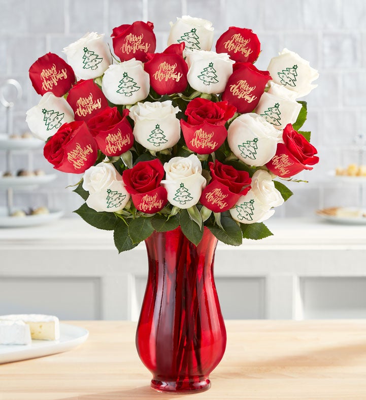 Conversation Roses™ Merry Christmas