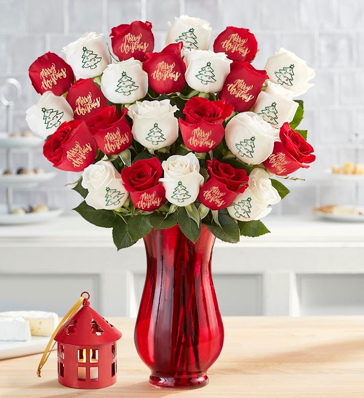 Conversation Roses™ Merry Christmas