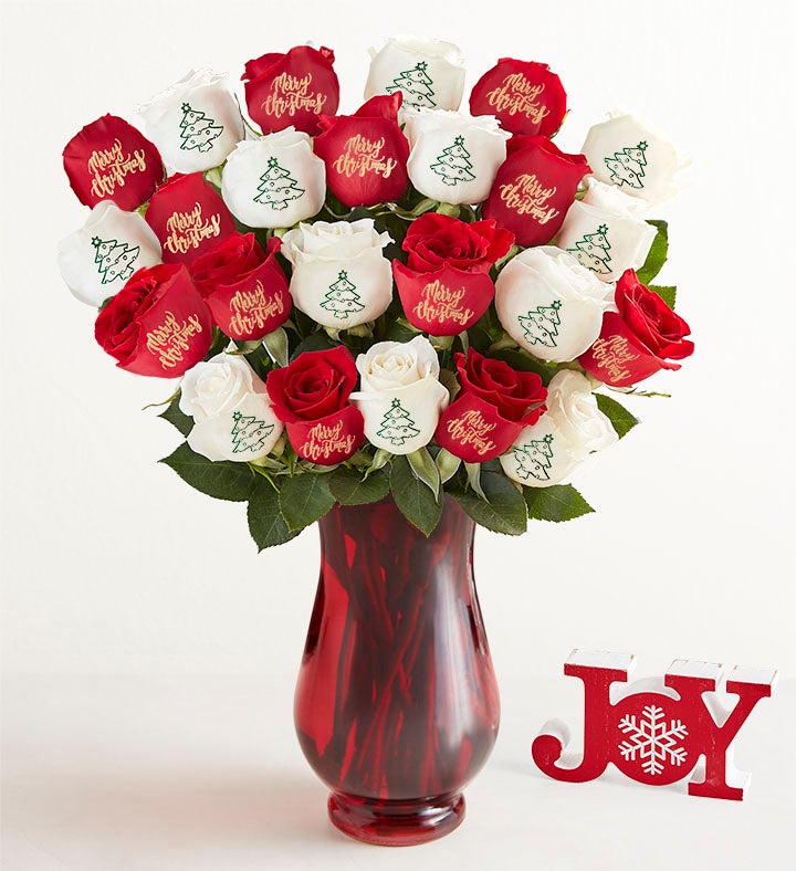 Conversation Roses™ Merry Christmas