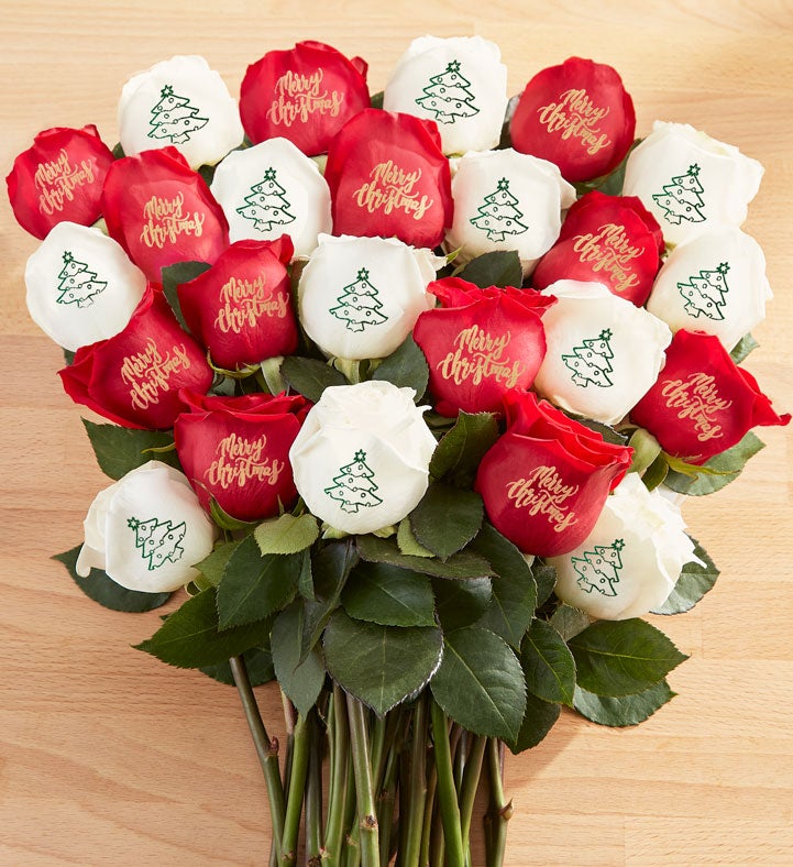 Conversation Roses™ Merry Christmas