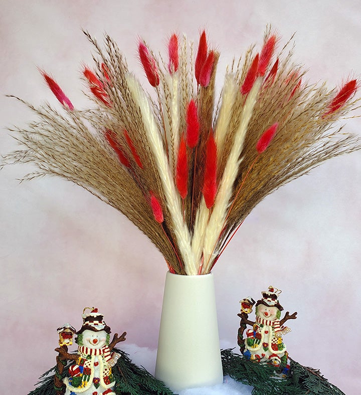 Candy Cane Everlasting Pampas Bouquet