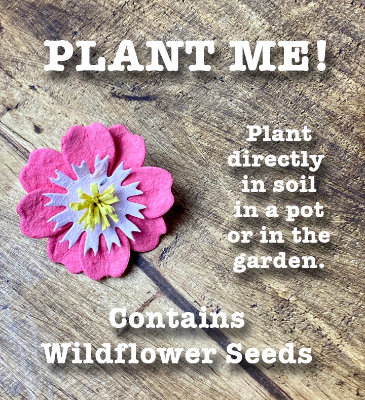 Flower Gift Box With Flower Seeds