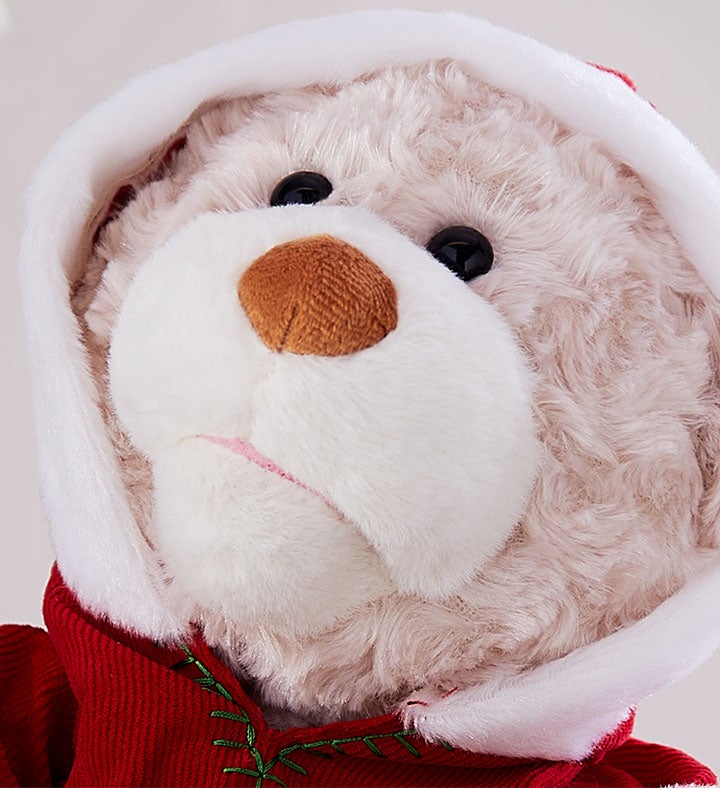 Night Before Christmas Storytime Bear