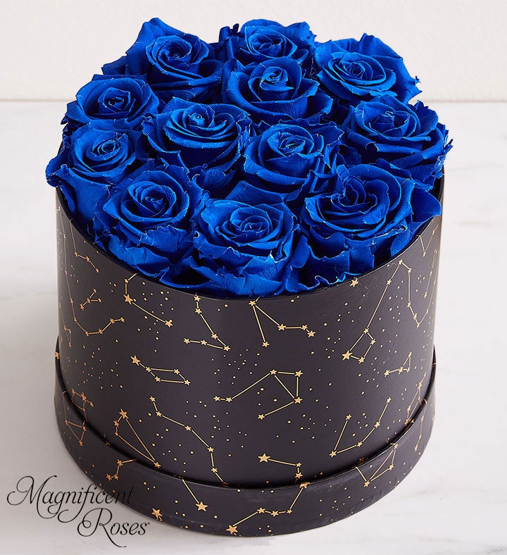 Night Sky by Magnificent Roses®