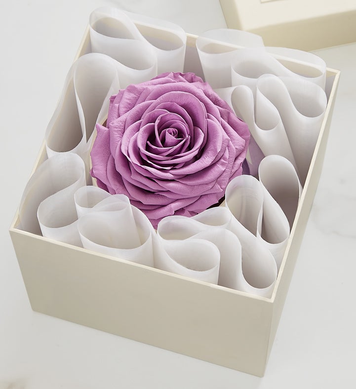 Magnificent Roses® Preserved Lavender Rose