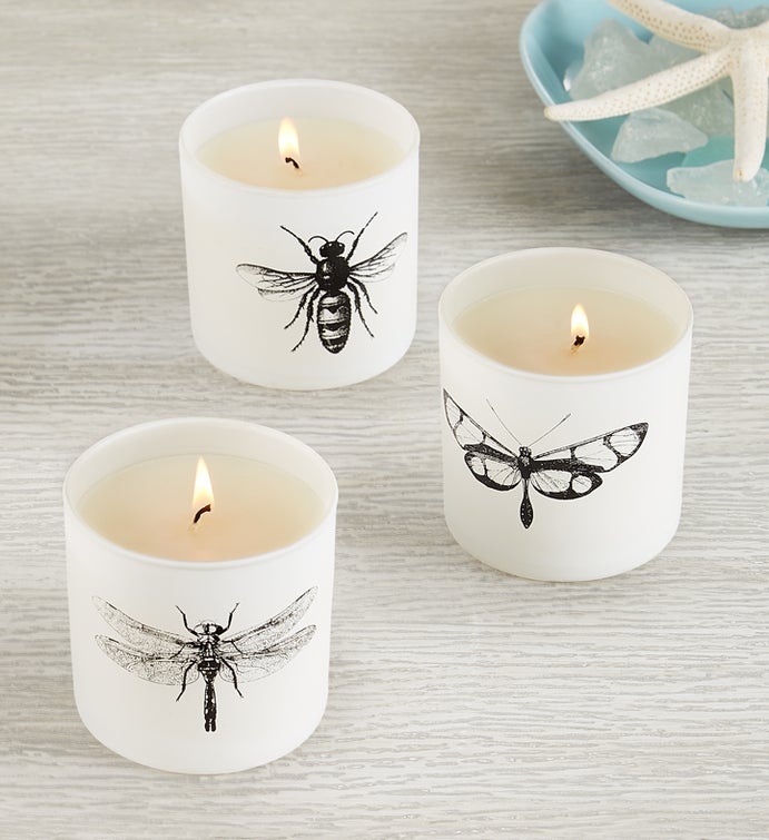 Citronella Sea Salt Votive Set