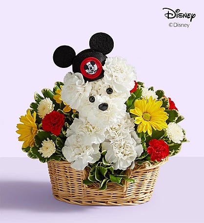 New Puppy Gift Basket Flower Delivery Round Rock Texas - Floral Fabulous