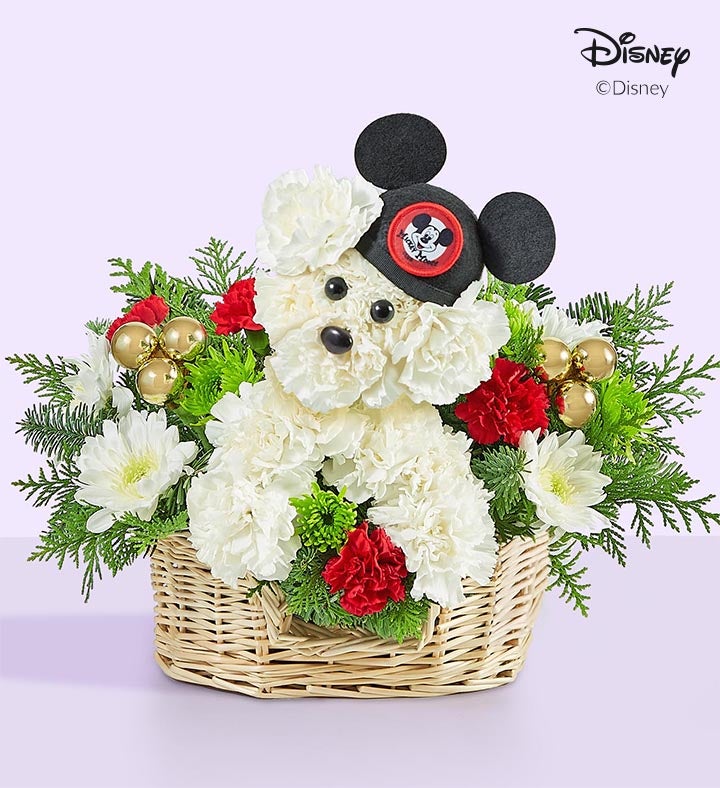 a Dog able® Disney Mickey Mouse for Holiday